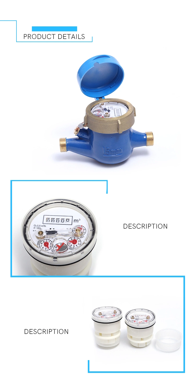 R160 Multi Jet Dry Type Water Meter with AMR (NX-1)